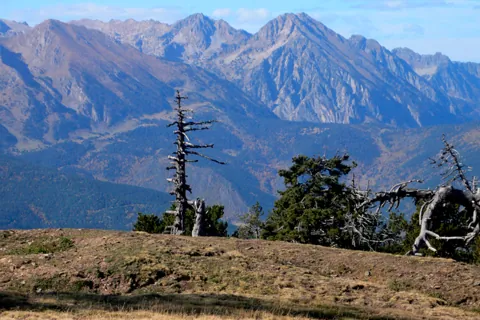 Pui de la Bonaigua