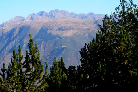 Pica d’estats